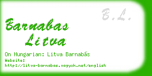 barnabas litva business card